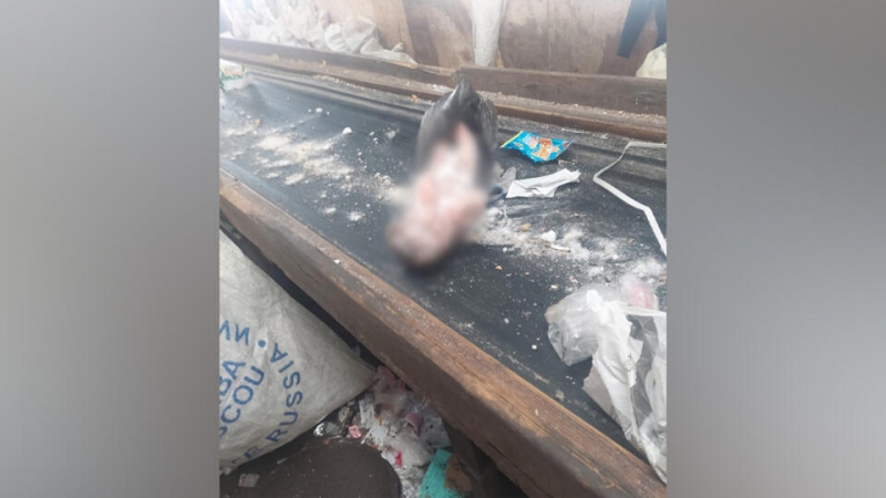 Мать выбросила новорожденного ребенка в мусорку в Башкирии