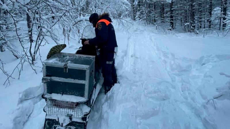 МЧС бросило дополнительные силы на поиски отца и сына под Мурманском