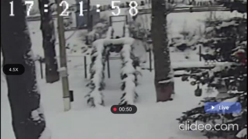 Мост обрушился вместе с ребенком на Украине