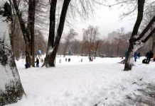 Мужчина погиб, катаясь на санках с шестилетней дочкой