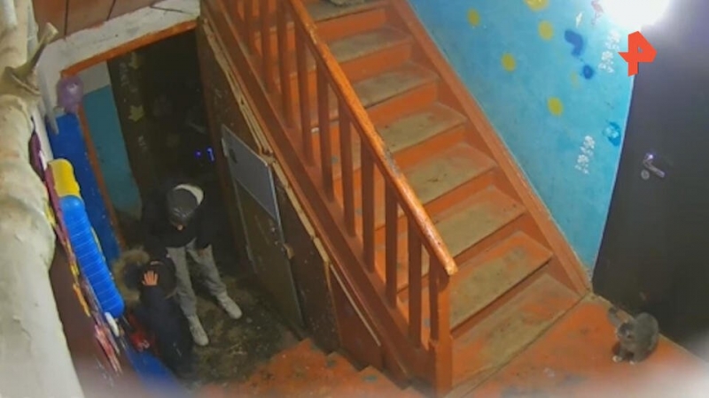 На Алтае родители выгнали ребенка голым на мороз, СК проводит проверку