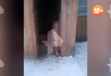 Опека забрала ребенка, которого родители выгнали голым на мороз