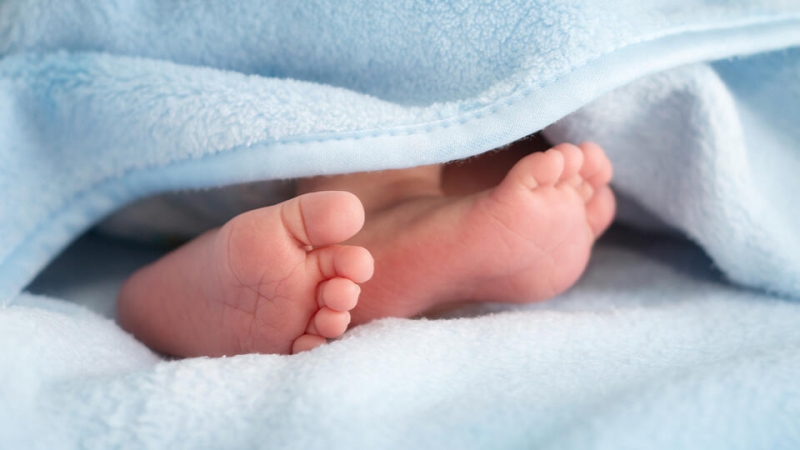 Подростки, нашедшие младенца в коробке на дороге: подумали, там котята