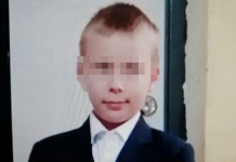 Поисковики отыскали пропавшего мальчика в Мурманской области