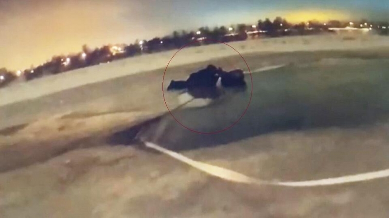 Полицейский спас девочку из реки в Петербурге