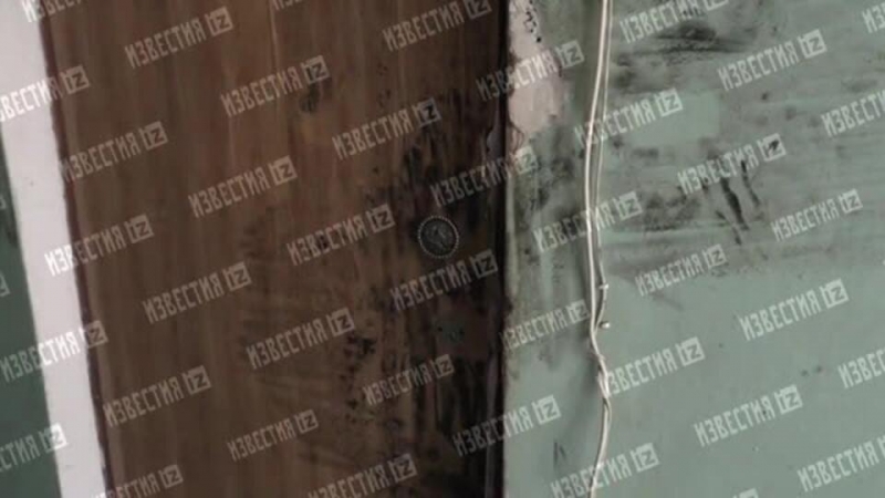 "Постоянно орали": что известно о няне и ее сожителе, убившем младенца