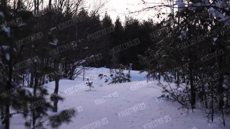 Пропавший под Мурманском снегоходчик с ребенком вышел на связь