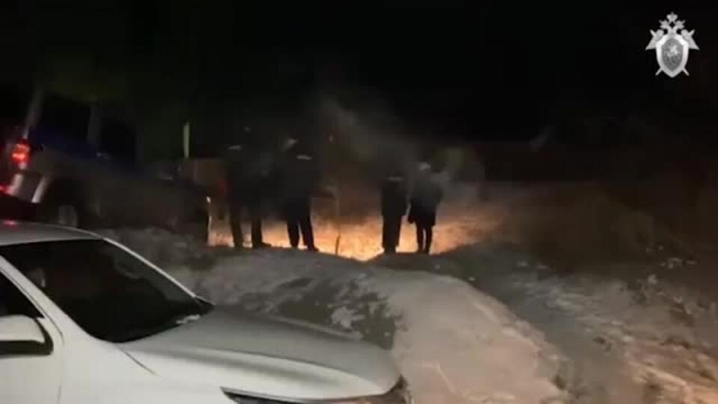 Псы возле домов: в действиях властей в Забайкалье находили нарушения