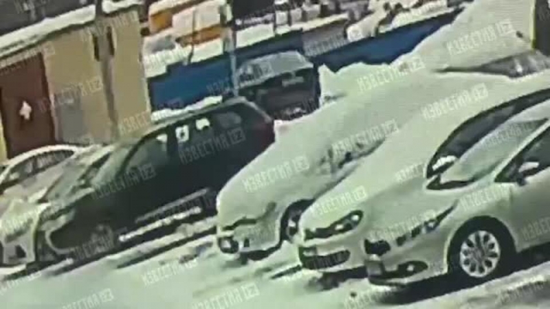 Сбитый машиной в Мытищах ребенок умер накануне своего дня рождения