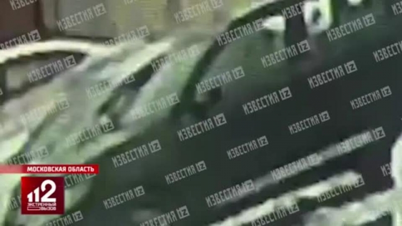 Сбитый машиной в Мытищах ребенок умер накануне своего дня рождения