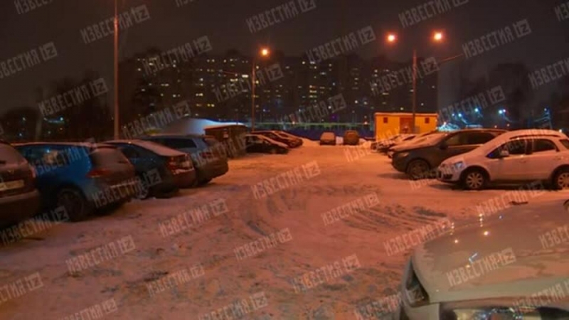 Соседка сбитого насмерть малыша: Водитель не увидела его из-за сугроба