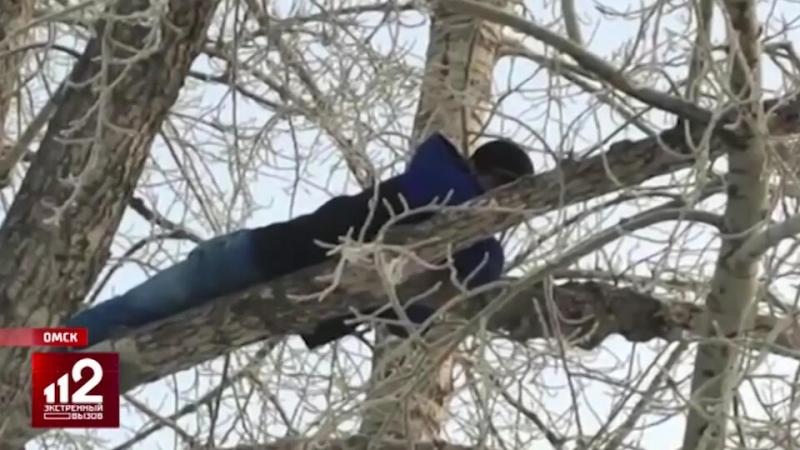 Спрятавшийся от полиции на дереве педофил употреблял наркотики