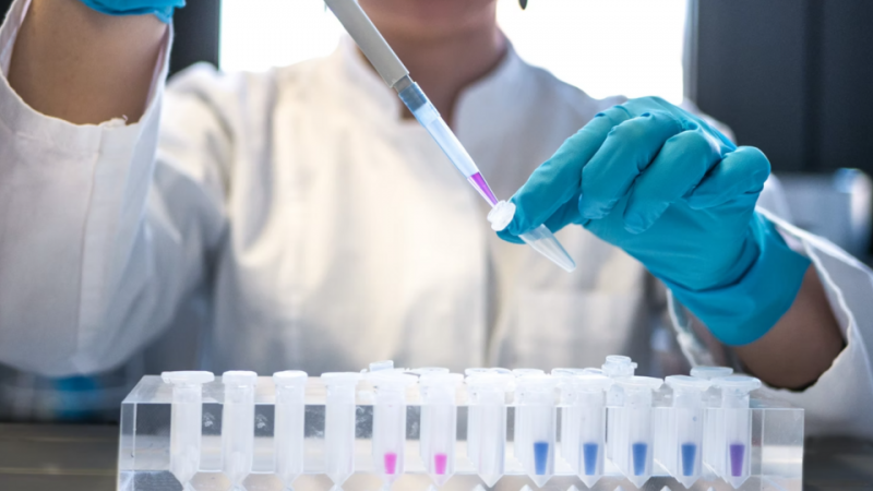 Ученые рассказали о возможности непорочного зачатия человека