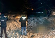 Власти окажут материальную помощь семье девочки, растерзанной собаками