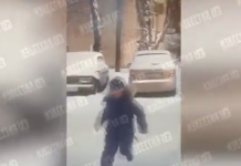 Воспитателя детсада в Подмосковье уволили после побега малыша