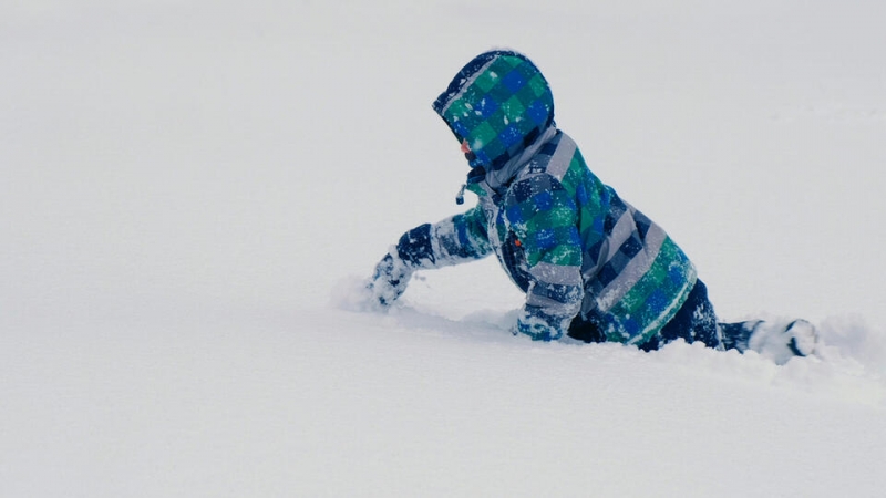 Воспитательницы в Иркутске вырвали 6-летнего ребенка из рук похитителя