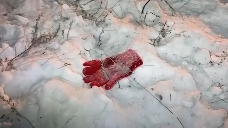 Жители села в Забайкалье вышли на сход из-за девочки, убитой собаками