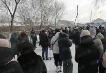 Жители Забайкалья рассказали, как возникла проблема с нашествием псов