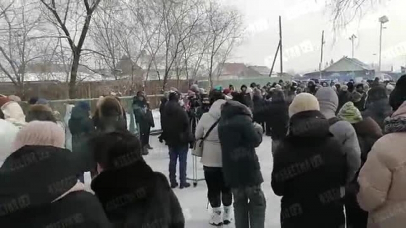 Жители Забайкалья рассказали, как возникла проблема с нашествием псов