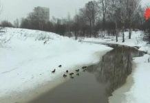 Еле вытащили: прохожий о спасении мальчика, провалившегося под лед