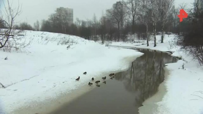 Еле вытащили: прохожий о спасении мальчика, провалившегося под лед