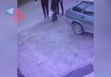 Мужчин, зазывавших ребенка в машину чипсами, задержали на Кубани