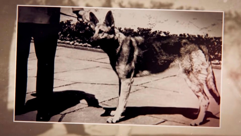 Почему "любимой девочке" Гитлера пришлось сбежать из Германии