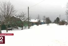 Пропавшая в Псковской области девочка-подросток найдена живой