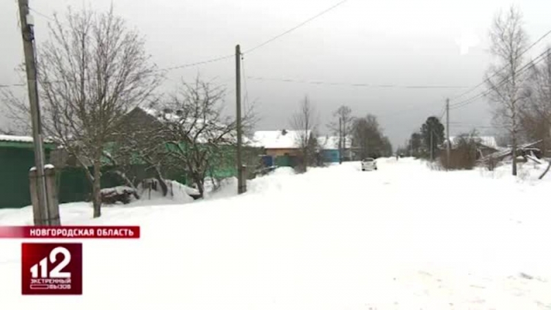 Пропавшая в Псковской области девочка-подросток найдена живой