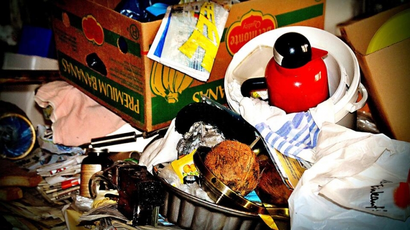 Родители найденных в Москве голодных младенцев воспитывали 10 детей