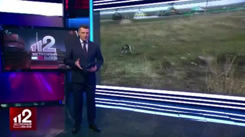 В Башкирии осудят главу сельсовета, где собаки загрызли ребенка