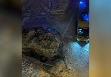 Жильцы многоэтажки нашли тело девушки в яме под окнами