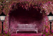 Как сделать яркую фотосессию на улице весной или осенью