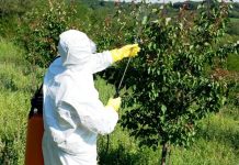 Что такое гербицидная обработка