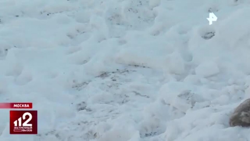 Мать младенца, оставившая его в сумке у дома, объявлена в розыск