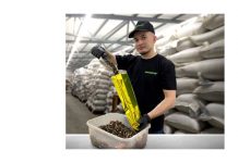 Почему чай стал неотъемлемой частью нашей жизни