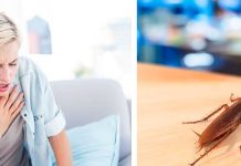 Как избавиться от тараканов