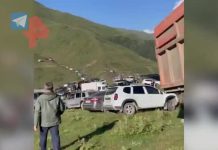 Кадры с места нападения волка на детей в Дагестане