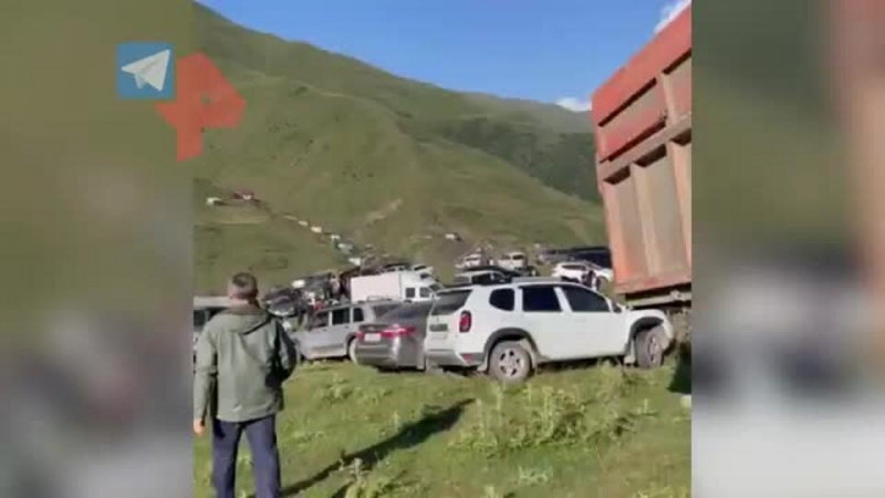 Кадры с места нападения волка на детей в Дагестане