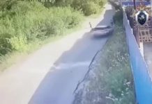 Камера засняла, как пьяный водитель сбил детей, сбегая от полиции