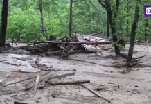 Найдено тело 2-летнего ребенка, пропавшего при сходе сели в Приморье