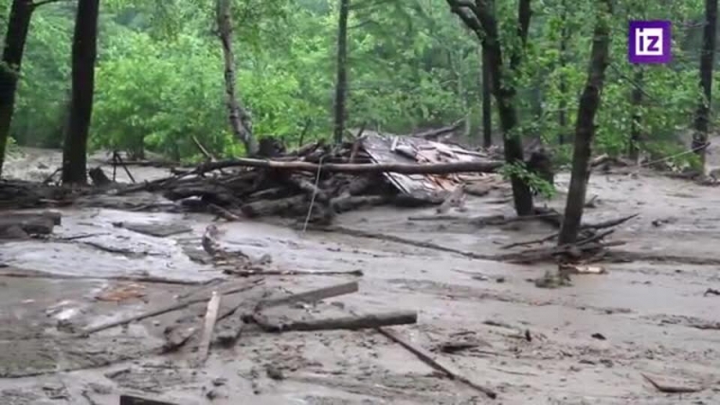 Найдено тело 2-летнего ребенка, пропавшего при сходе сели в Приморье