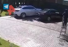 Пострадавший от обезьяны в Подмосковье ребенок доставлен в реанимацию