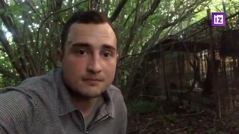 У хозяев растерзавшей ребенка обезьяны оказался целый зоопарк