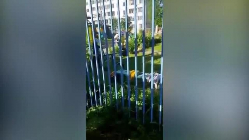 Избивавшую ребенка в детсаду под Москвой воспитательницу уволили