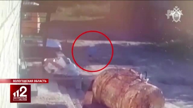 Трехлетний мальчик провел два дня в лесу и выжил: что известно