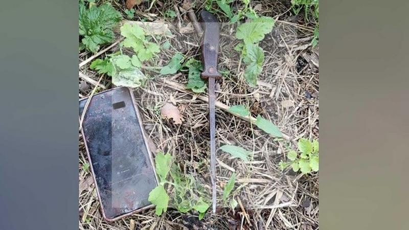 В полиции раскрыли подробности нападения подростка на мать и ребенка