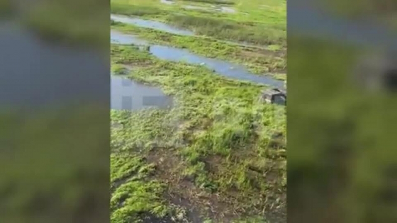 Волонтер рассказала о поисках пропавшей девочки в Пермском крае