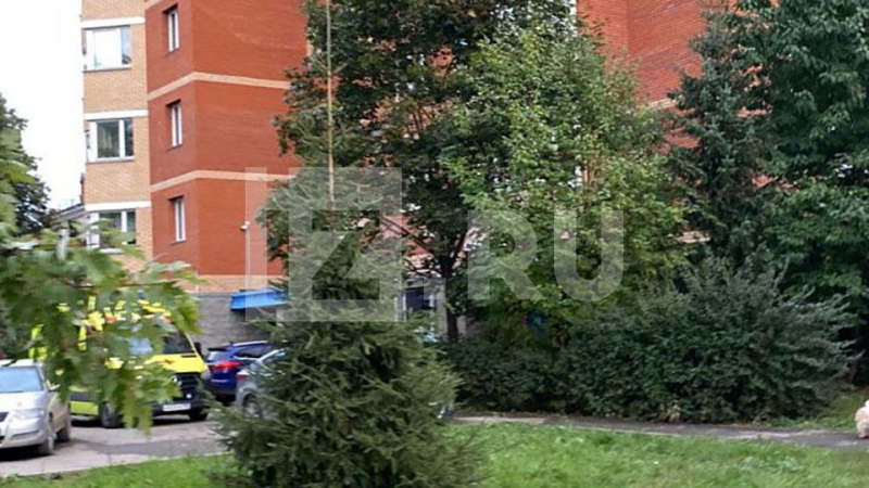 Прохожие поймали ребенка, упавшего с четвертого этажа в Новой Москве