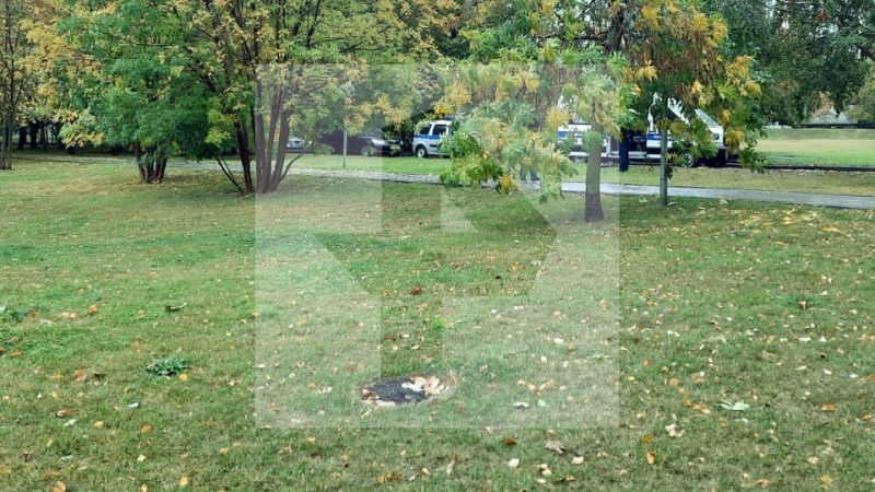 Тело новорожденной девочки нашли в Москве-реке